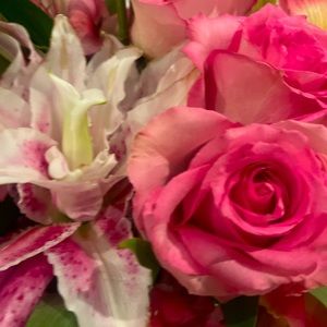 Meet your Posher, Daphne